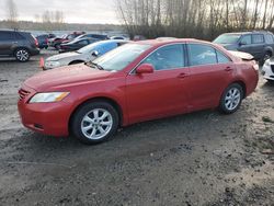 Toyota salvage cars for sale: 2009 Toyota Camry Base