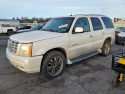 Salvage cars for sale at Pennsburg, PA auction: 2003 Cadillac Escalade Luxury