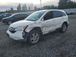 Honda salvage cars for sale: 2011 Honda CR-V EXL