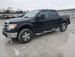 2013 Ford F150 Supercrew en venta en Walton, KY