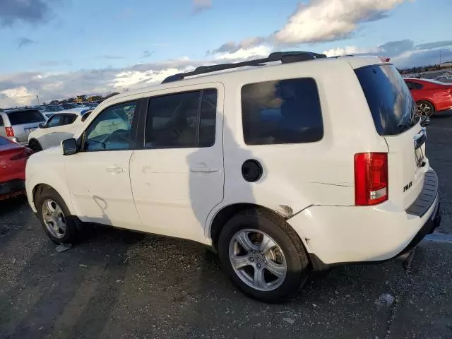 2013 Honda Pilot EXL