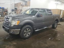 Salvage cars for sale at Ham Lake, MN auction: 2010 Ford F150 Supercrew