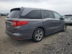 2019 Honda Odyssey EXL