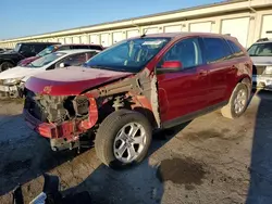 Ford Vehiculos salvage en venta: 2013 Ford Edge SEL