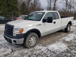 Salvage cars for sale from Copart Northfield, OH: 2012 Ford F150 Super Cab