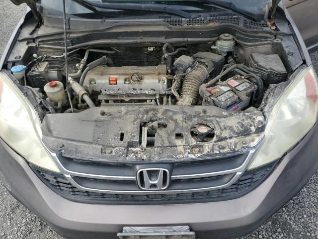 2011 Honda CR-V SE