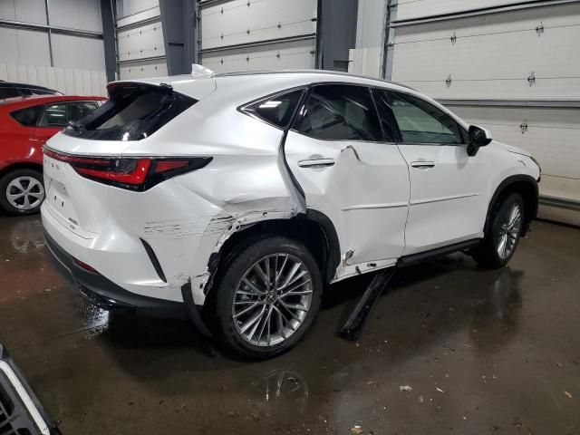 2023 Lexus NX 350