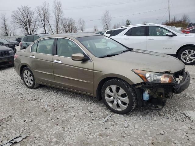 2008 Honda Accord EXL