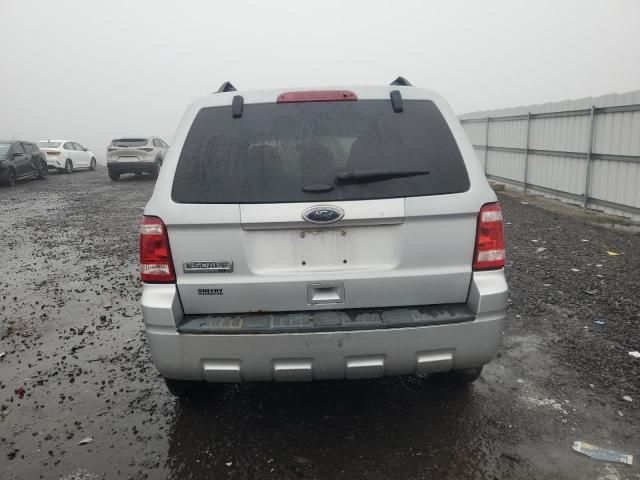 2011 Ford Escape XLT