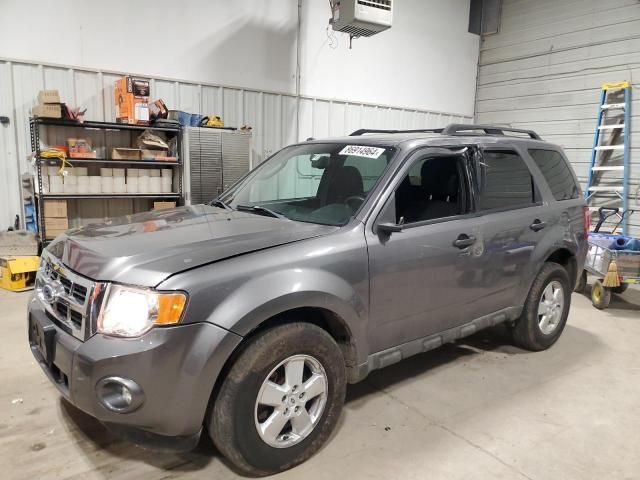 2009 Ford Escape XLT