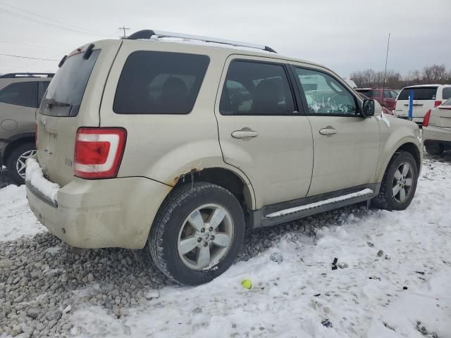 2010 Ford Escape Limited