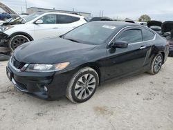 2015 Honda Accord EXL en venta en Haslet, TX