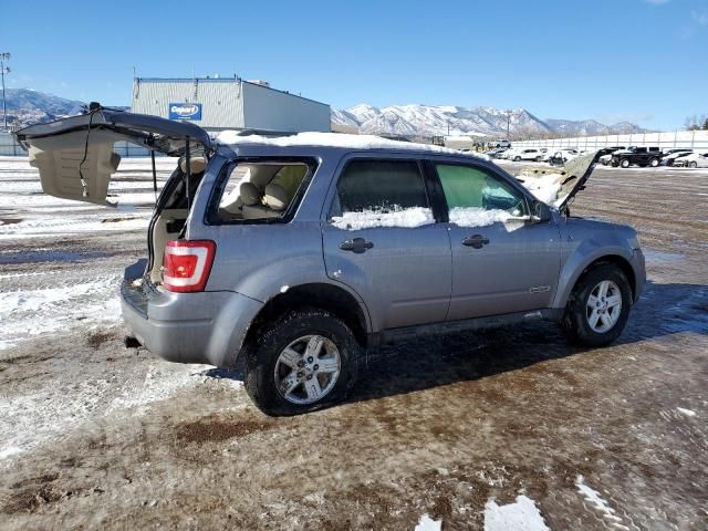 2008 Ford Escape HEV