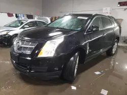 Salvage cars for sale at Elgin, IL auction: 2010 Cadillac SRX Luxury Collection