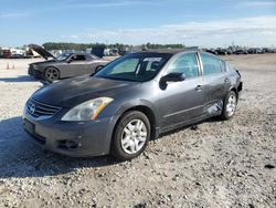 Nissan salvage cars for sale: 2010 Nissan Altima Base