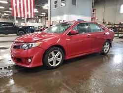 Salvage cars for sale from Copart Blaine, MN: 2013 Toyota Camry L