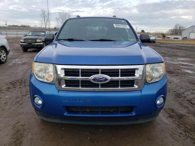 2012 Ford Escape XLT