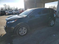 Salvage cars for sale at Fort Wayne, IN auction: 2017 KIA Sportage LX