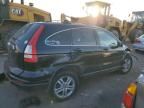 2010 Honda CR-V EXL