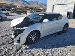 Salvage cars for sale at Reno, NV auction: 2015 Scion TC