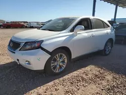 Salvage cars for sale at Phoenix, AZ auction: 2010 Lexus RX 450H