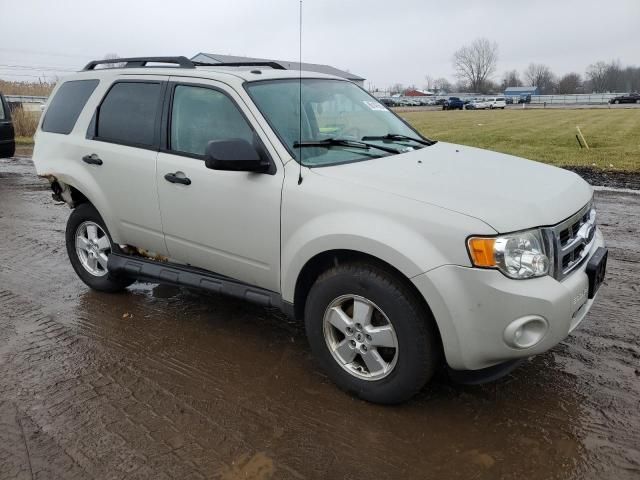 2009 Ford Escape XLT