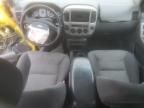 2003 Ford Escape XLT