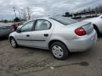 2004 Dodge Neon Base