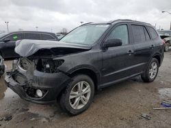 Salvage cars for sale at Indianapolis, IN auction: 2010 Hyundai Santa FE SE