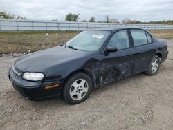 Chevrolet salvage cars for sale: 2002 Chevrolet Malibu LS