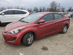 Hyundai salvage cars for sale: 2015 Hyundai Elantra SE