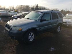 Salvage cars for sale at Chalfont, PA auction: 2007 Ford Escape XLT