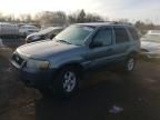 2007 Ford Escape XLT