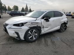 Salvage cars for sale at auction: 2019 Lexus NX 300H