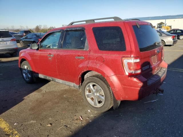 2010 Ford Escape XLT