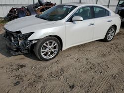 Nissan salvage cars for sale: 2013 Nissan Maxima S