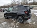 2015 Jeep Renegade Trailhawk