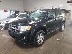 Salvage Cars with No Bids Yet For Sale at auction: 2011 Ford Escape XLT