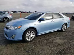 2012 Toyota Camry Hybrid en venta en Antelope, CA