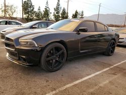 Vehiculos salvage en venta de Copart Rancho Cucamonga, CA: 2012 Dodge Charger SE