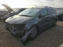 Salvage cars for sale at Elgin, IL auction: 2014 Honda Odyssey EXL