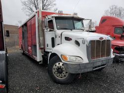 Peterbilt salvage cars for sale: 2013 Peterbilt 337