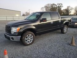 Salvage cars for sale from Copart Gastonia, NC: 2013 Ford F150 Supercrew