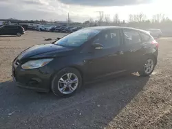 Salvage cars for sale at Lawrenceburg, KY auction: 2013 Ford Focus SE