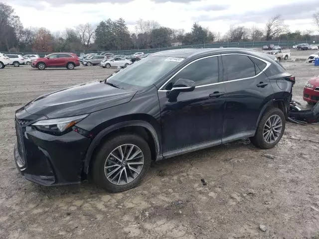 2025 Lexus NX 350H Base