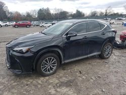 2025 Lexus NX 350H Base en venta en Madisonville, TN