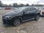 2025 Lexus NX 350H Base