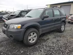 Salvage cars for sale at Eugene, OR auction: 2005 Ford Escape XLS