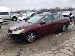 2012 Honda Accord LXP en venta en Louisville, KY