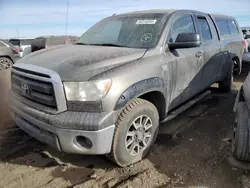 Toyota salvage cars for sale: 2010 Toyota Tundra Double Cab SR5